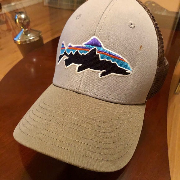 Patagonia Other - Patagonia Fitz Roy Trout Trucker Hat